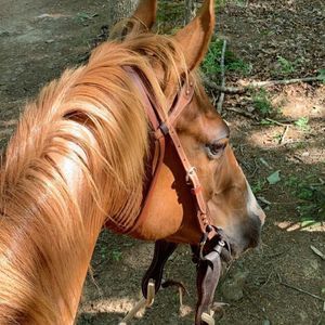 Meet your Posher, Lorrie